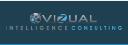 Vizual Intelligence Inc. logo